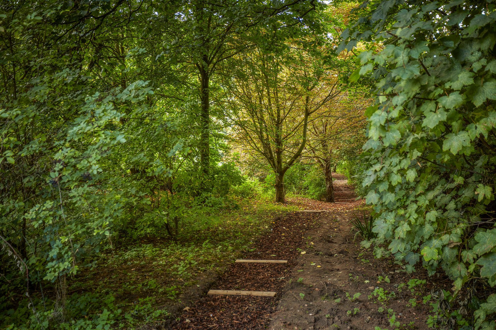 Mallory Court Country House Hotel & Spa Leamington Spa Eksteriør bilde